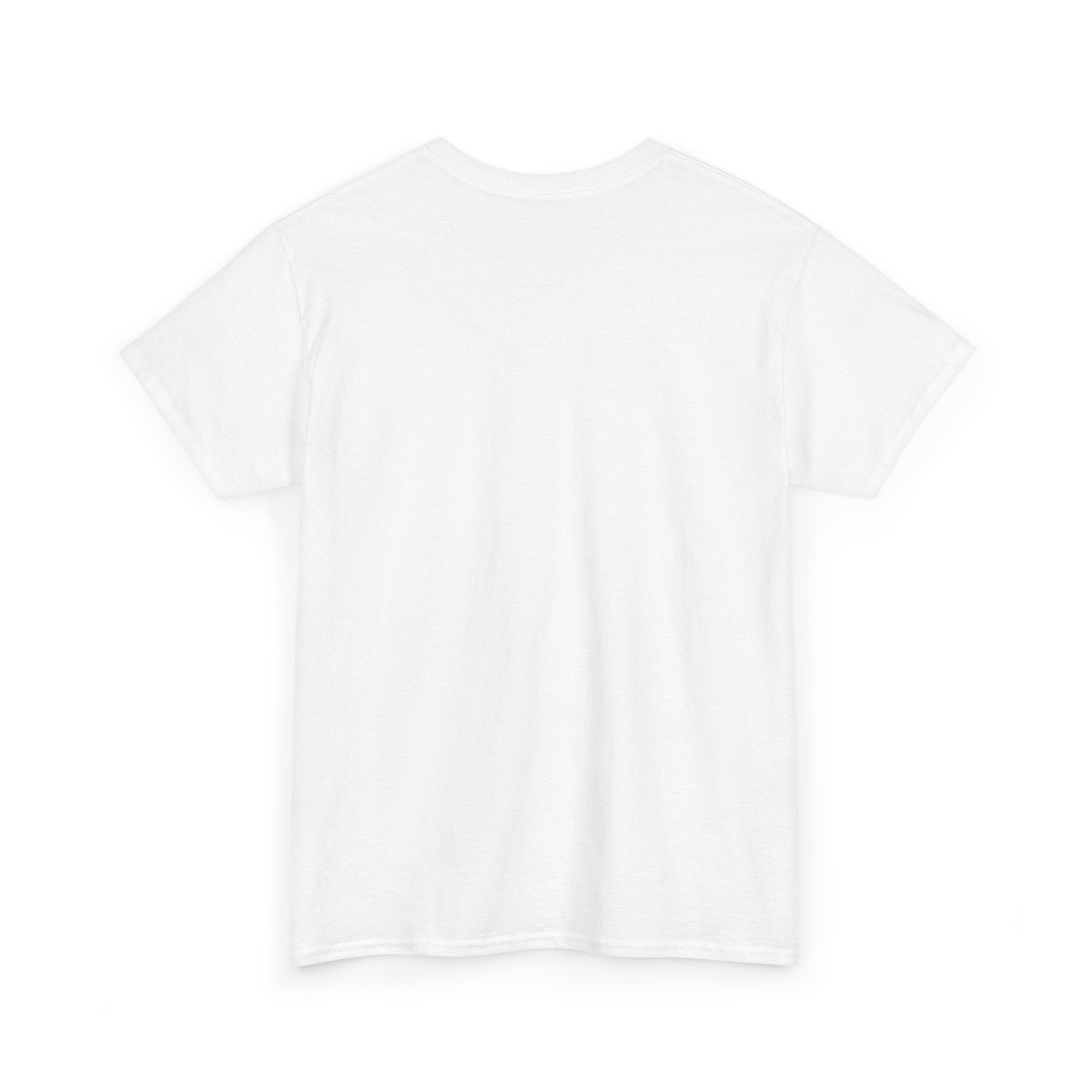T-Shirt — "A pie chart of all countries ever nuked"